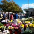 Gisborne Village All Seasons Market
